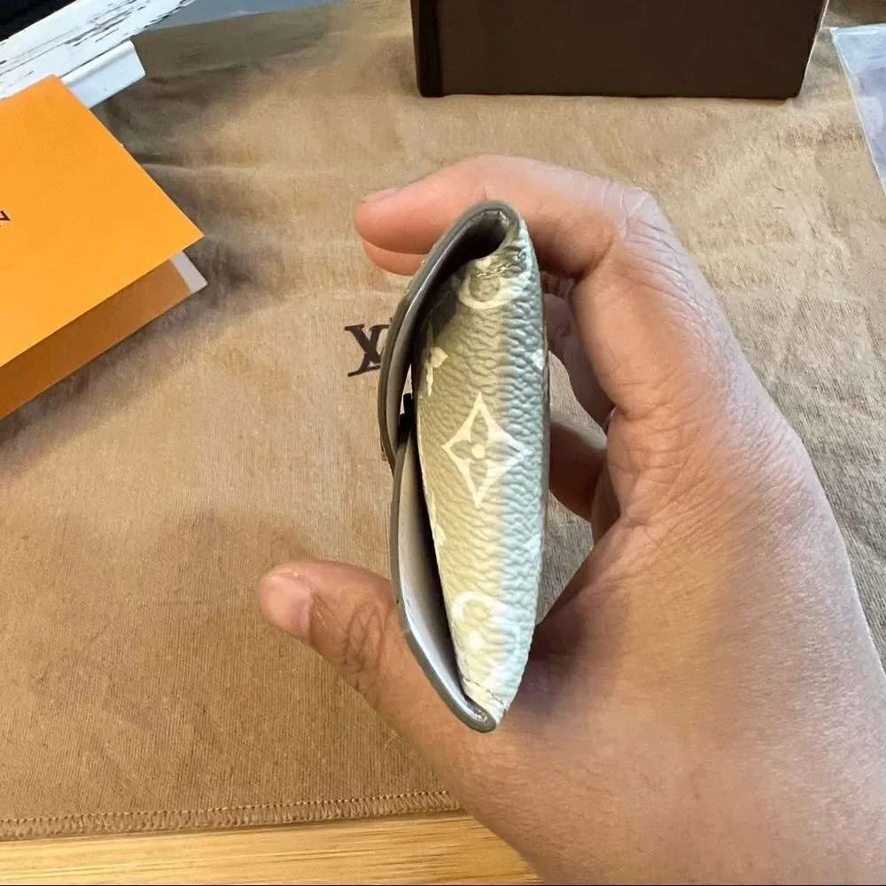 LOUIS vuitton small kirigami spring in the city